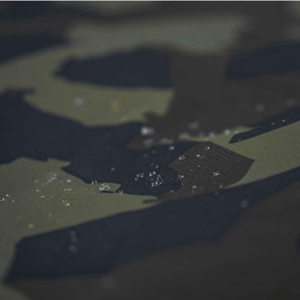 AVID-CARP-ASCENT-RS-4