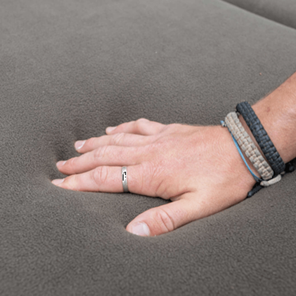 AVID-CARP-BED-2 AVID-CARP-BED-2