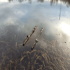 Carp-Zone-Saco-Retencion-Flotante-Verde-2 Carp-Zone-Saco-Retencion-Flotante-Verde-2