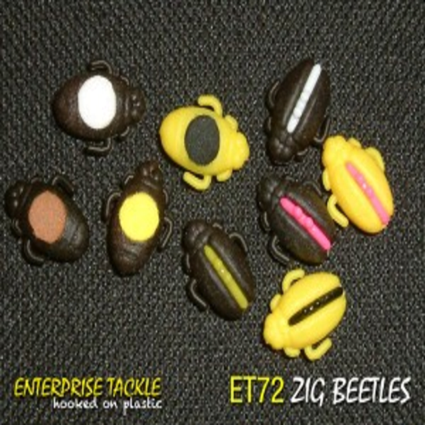 ENTERPRISE-ZIG-BEETLES-1 ENTERPRISE-ZIG-BEETLES-1