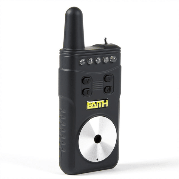 FAITH-WICKED-2 FAITH-WICKED-2