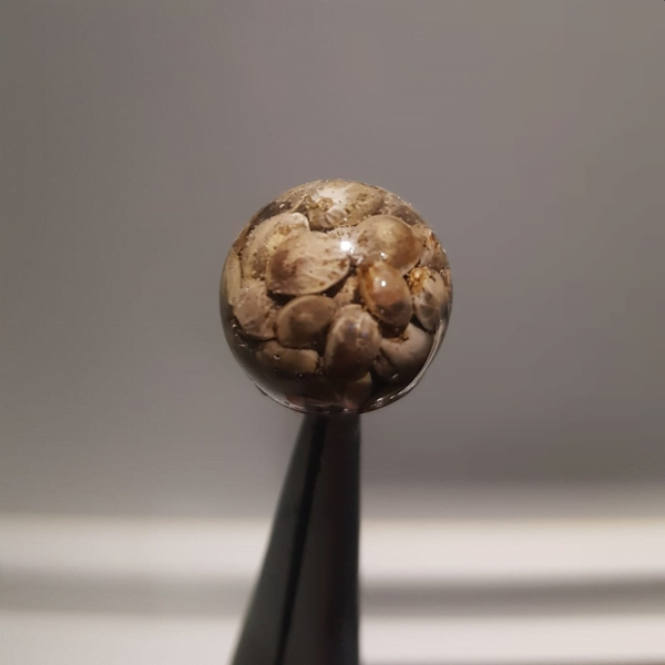 INFINITY-BAITS-CANAMON-1 INFINITY-BAITS-CANAMON-1