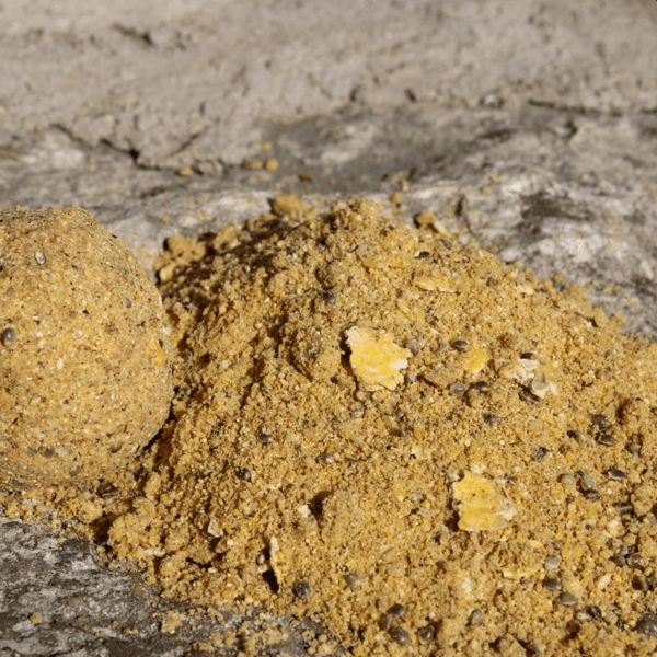 PRO-BIG-CARP-CHUFA-1