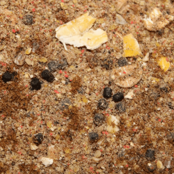 PRO-BIG-CARP-HALIBUT-2