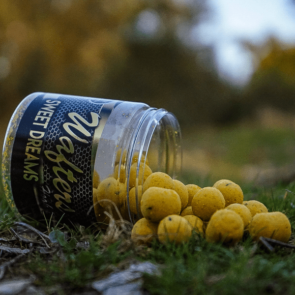 PRO-WAFTER-DREAMS-2 PRO-WAFTER-DREAMS-2