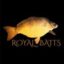 Royal Baits