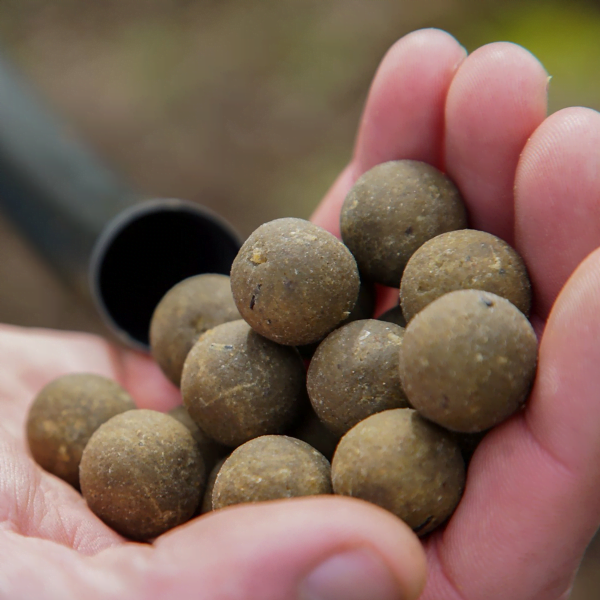 CC MOORE ODYSSEY BOILIE 1