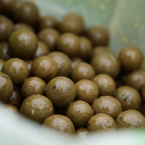 CC MOORE ODYSSEY BOILIE 2 CC MOORE ODYSSEY BOILIE 2