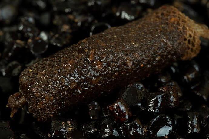 STICKY BLOODWORM CLOUDY.png1 – copia STICKY BLOODWORM CLOUDY.png1 – copia