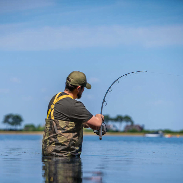 AVID CARP REVOLVE 10FT 6