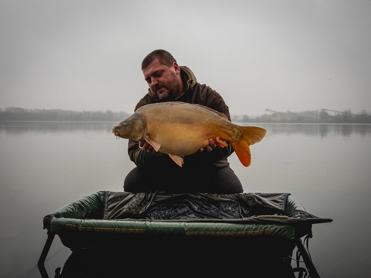 GIANTS MOQUETA VERDE 7 GIANTS MOQUETA VERDE 7