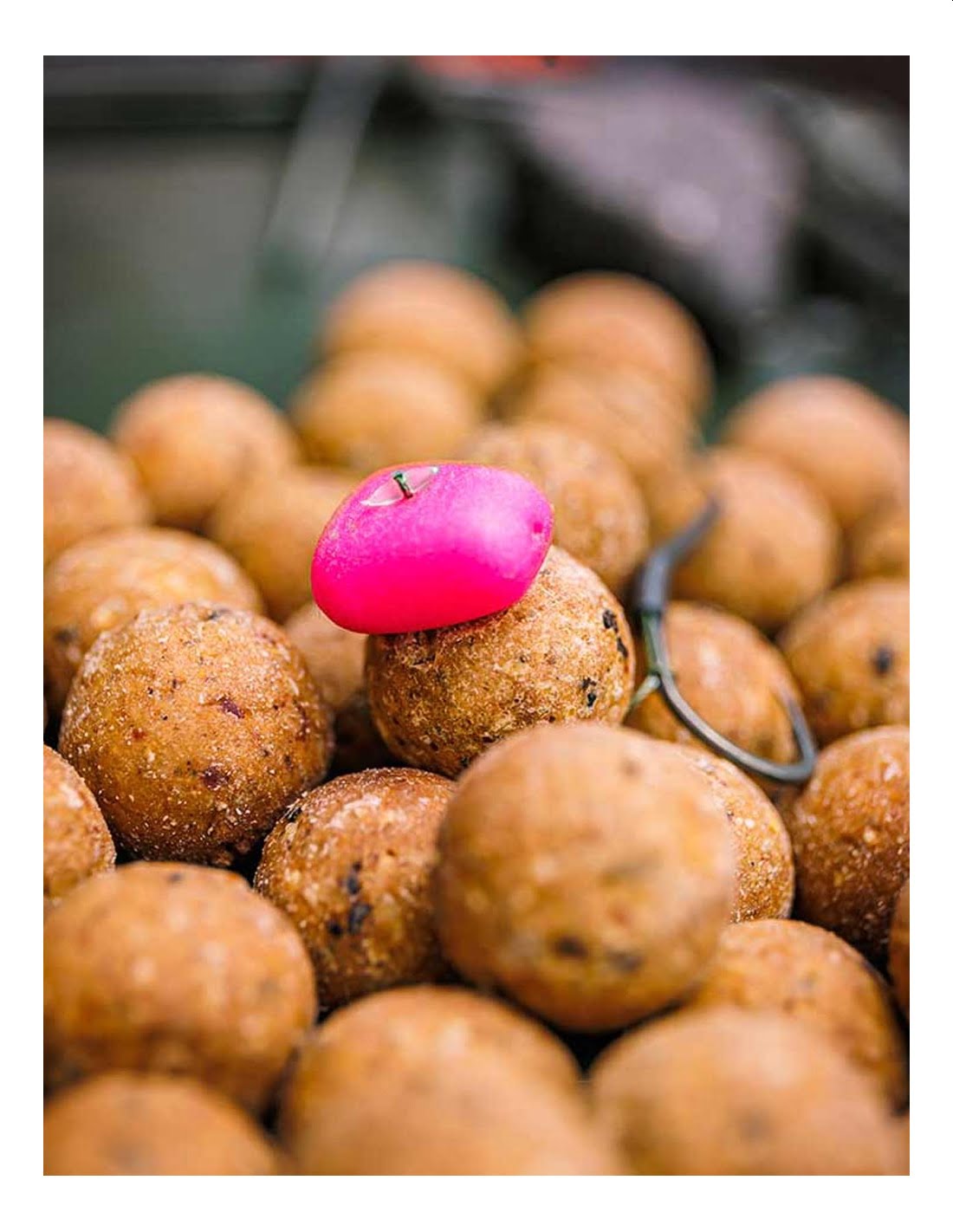 FOX POP-UP INK CORN JUMBO 2 FOX POP-UP INK CORN JUMBO 2