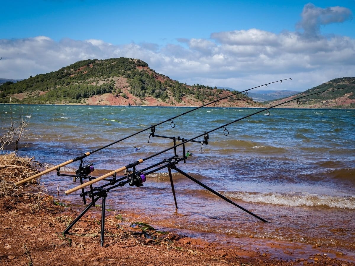 GIANTS HIGT POD 2 GIANTS HIGT POD 2