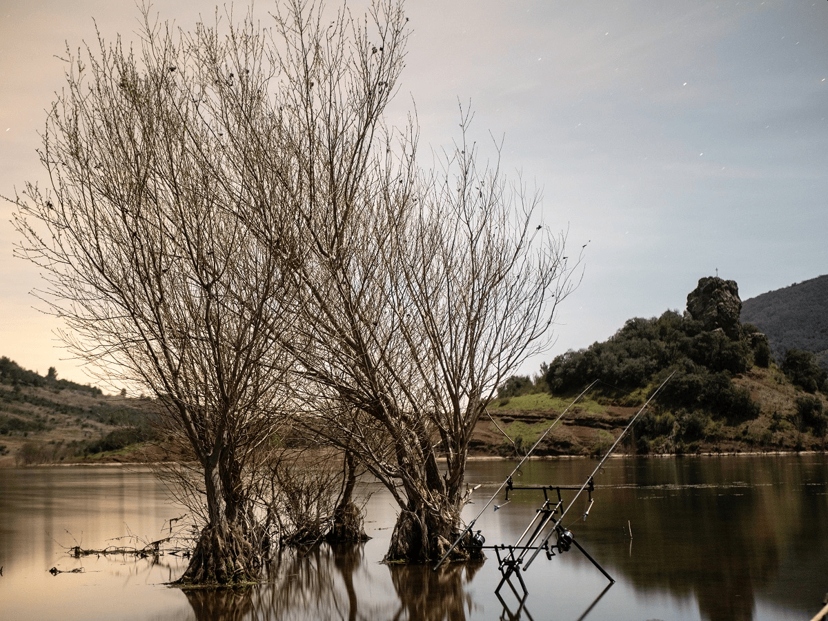 GIANTS HIGT POD 4 GIANTS HIGT POD 4