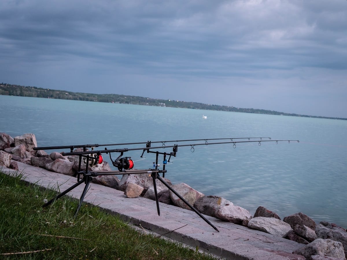 GIANTS HIGT POD 5 GIANTS HIGT POD 5