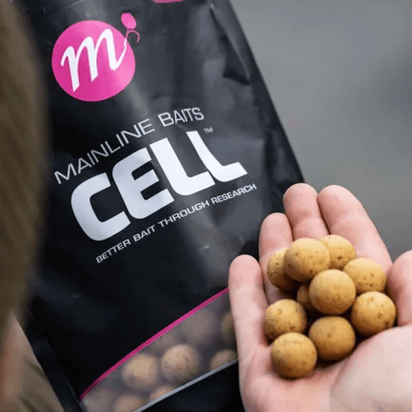 MAINLINE BOILIE CELL 20MM 1KG 1 Mainline Boilie Cell 20mm 1kg