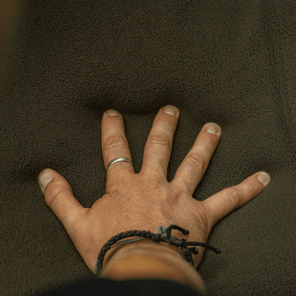 AVID CARP BENCHMARCH STANDAR SYSTEM 2 AVID CARP BENCHMARCH STANDAR SYSTEM 2