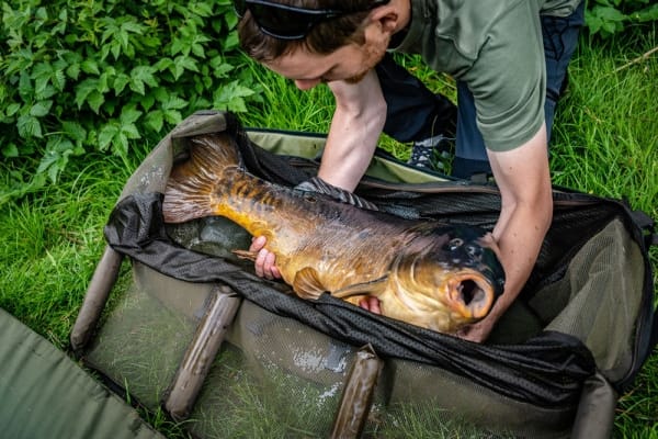 KORUM COMPACT RECOVERY SLING 5 KORUM COMPACT RECOVERY SLING 5