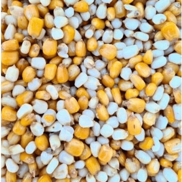 PARTICLE 50-50 5KG 1 Particle For Fishing Maíz 50-50 5kg