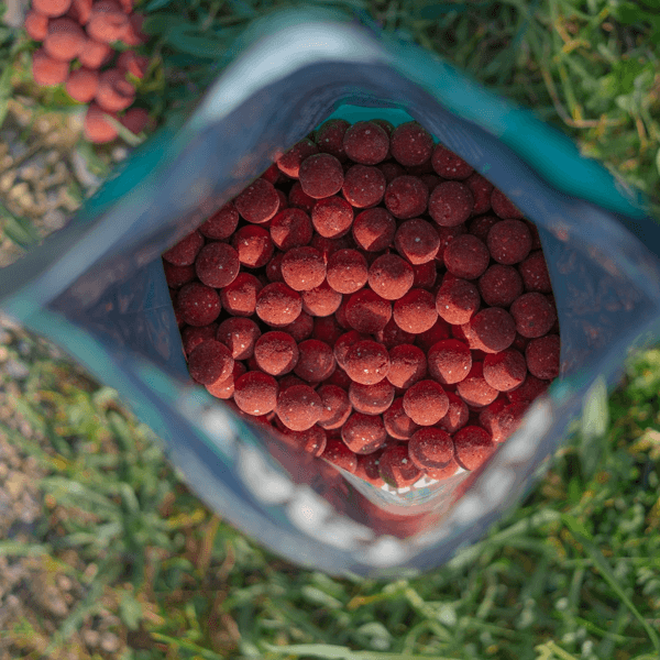 TACTICA BAITS SQUIDY BOILIE Tactica Baits Squidy Boilies 20mm 1kg