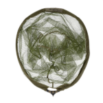 Korum Sacadera Plegable Power Látex 34