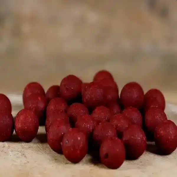 DYNAMITE BAITS BIG FISH ROBIN RED BOILIES 1 DYNAMITE BAITS BIG FISH ROBIN RED BOILIES 1