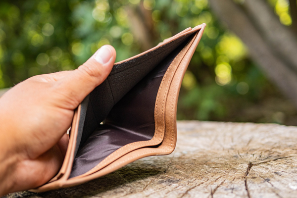 GIANTS CARTERA MARRÓN CABEZA CARPA 7 GIANTS CARTERA MARRÓN CABEZA CARPA 7