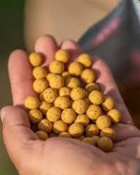 Mainline Hi Impact Scopex Blackcurrant