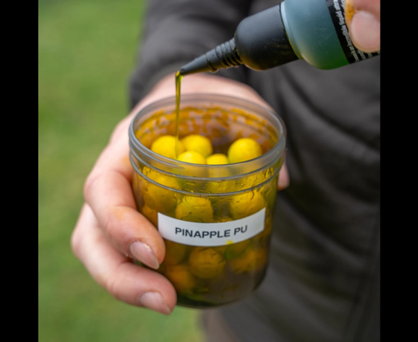 AVID CARP HOOKBAIT POTS LARGE 4