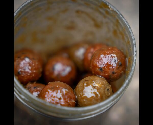 AVID CARP HOOKBAIT POTS LARGE 5