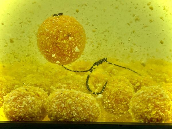 LK BAITS NUTRIGO FEED-EX HONEY-CORN 800G 20MM 2 LK BAITS NUTRIGO FEED-EX HONEY-CORN 800G 20MM 2