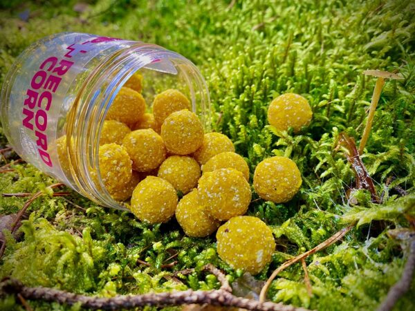 LK Baits Fish Activ Plus Record Corn 18 mm, 200 ml 3 LK Baits Fish Activ Plus Record Corn 18 mm, 200 ml 3