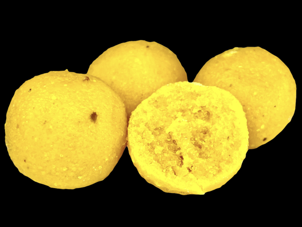 LK Baits Lukas Krasa Boilies Maíz para carpas récord mundial 1 LK Baits Lukas Krasa Boilies Maíz para carpas récord mundial 1