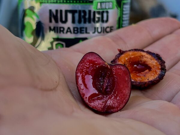 LK Baits Nutrigo Amur Jugo Mirabel 150ml, 20mm 3 LK Baits Nutrigo Amur Jugo Mirabel 150ml, 20mm 3