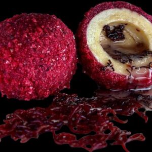 LK Baits Nutrigo Monster Gusano de sangre viva 20-25mm 250ml
