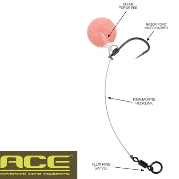 ACE-CHOD