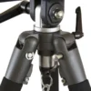 Balzer-Metallica-Patas.webp