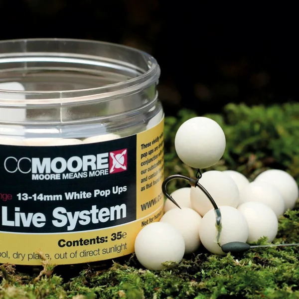 CC MOORE LIVE POP-UP BLANCO 1