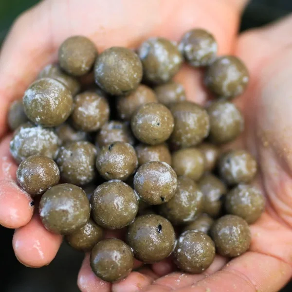 CC Moore Odyssey XXX Boilies