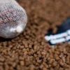 Cc Moore Odyssey Pellet