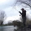 Daiwa Black Widow Extension Plegada 115 Cm
