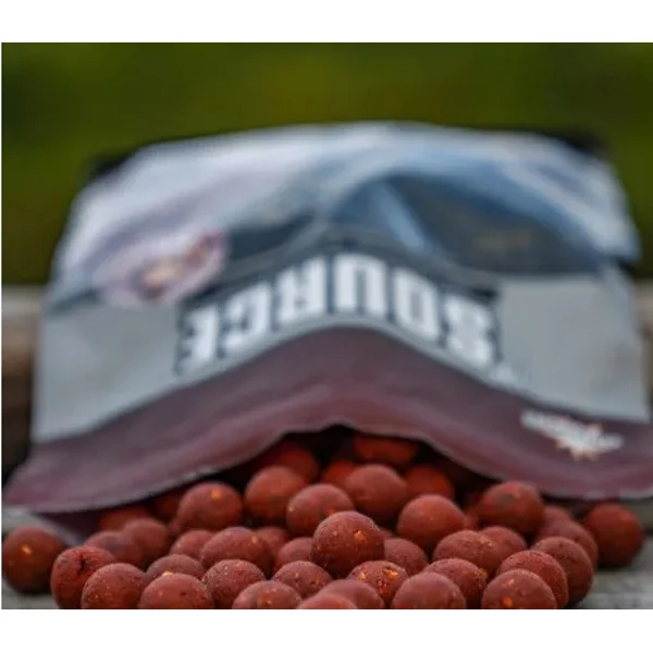 DYNAMITE BAITS THE SOURCE 20MM 1KG