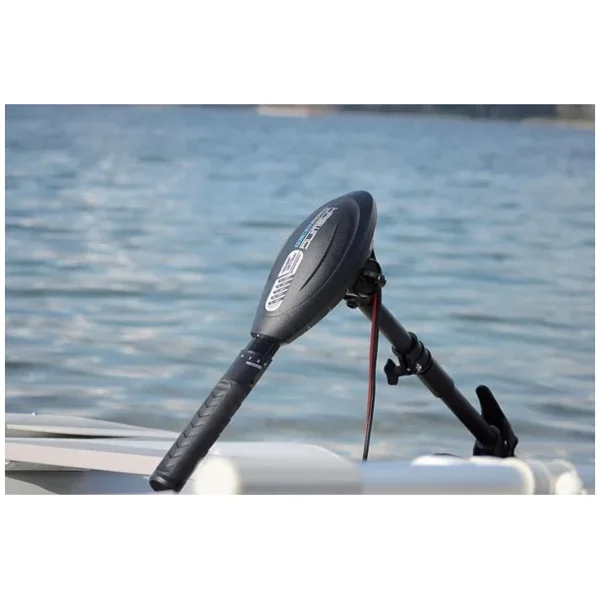 HASWING 55LB 1