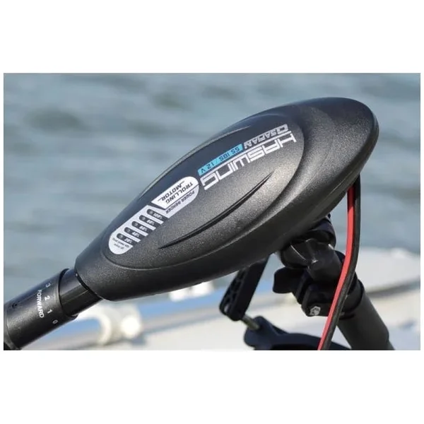 HASWING 55LB 3