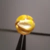 Infinity-Baits-Maiz-1