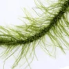 Katran Fishing Line Braided Hook Links Mimicker 25Lb 10M 2 Katran Mimicker 4
