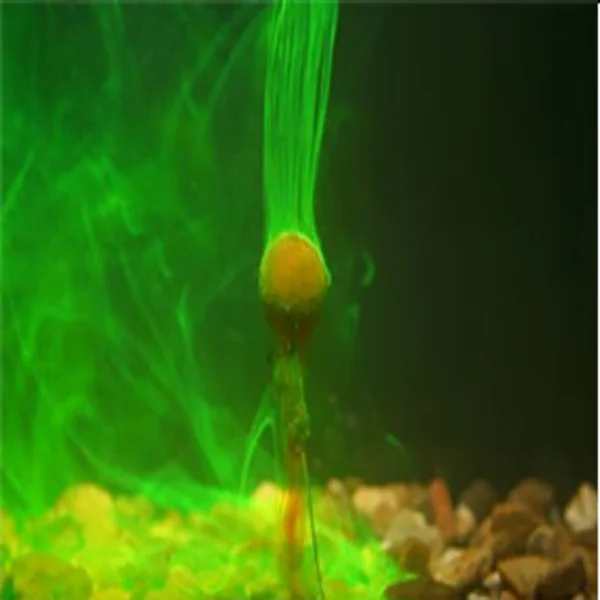 Korda Goo Almond nube de color y atrayente