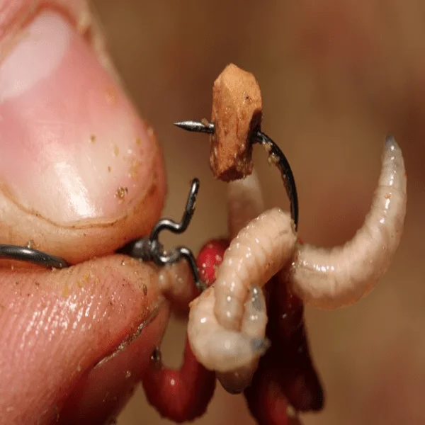 Korda Maggot Klip para cebar con gusanos sin pincharlos