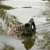 Korda Spod Lleno De Mezcla De Particulas Y Pellets Para Cebar