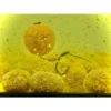 Lk Baits Nutrigo Feed-Ex Honey-Corn 800Gr 20Mm 3 Lk Baits Nutrigo Feed Ex Honey Corn 800G 20Mm 2